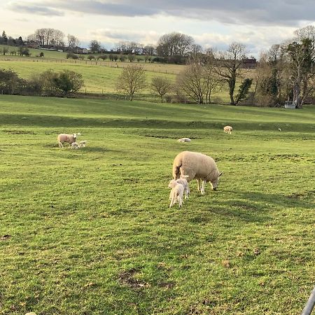 Villa Weatherhead Farm Shepherds Hut Buckingham Exterior foto